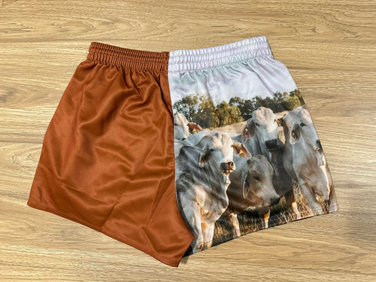Rugby Shorts - Brahman